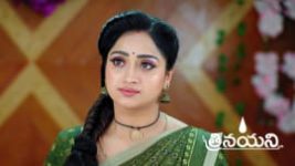 Trinayani (Telugu) S01 E1190 16th March 2024