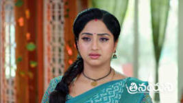 Trinayani (Telugu) S01 E1209 10th April 2024