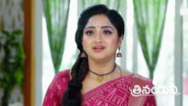 Trinayani (Telugu) S01 E1210 11th April 2024