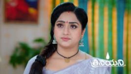 Trinayani (Telugu) S01 E1233 8th May 2024