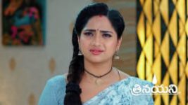 Trinayani (Telugu) S01 E1242 18th May 2024