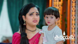 Trinayani (Telugu) S01 E1243 20th May 2024