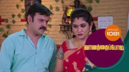 Vanathai Pola S01 E1081 17th June 2024