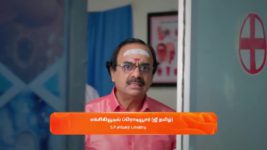 Anna (Tamil) S01 E392 7th July 2024