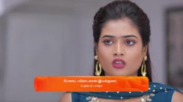 Idhayam S01 E289 29th July 2024