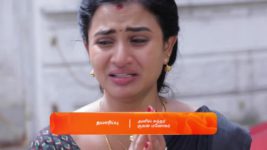 Idhayam S01 E290 30th July 2024