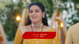 Intinti Ramayanam (Star Maa) S01 E19 Srikar, Pallavi Haldi Festivities