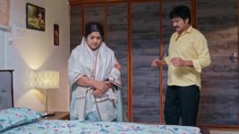 Jabilli Kosam Aakashamalle S01 E256 1st August 2024