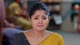 Janaki Ramayya Gari Manavaralu S01 E56 9th July 2024