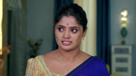 Janaki Ramayya Gari Manavaralu S01 E75 31st July 2024