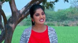 Kalyanamasthu S01 E747 30th July 2024