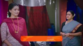 Lakshmi Nivasa S01 E222 18th July 2024