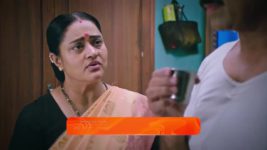 Lakshmi Nivasa S01 E228 23rd July 2024