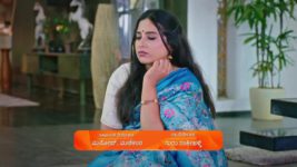 Lakshmi Nivasa S01 E238 30th July 2024