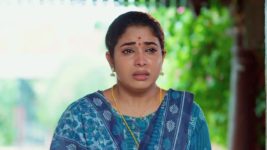 Maa Annaya (Zee Telugu) S01 E102 20th July 2024