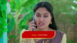 Maamagaru (Star Maa) S01 E252 Chengayya Commends Gangadhar