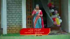 Maamagaru (Star Maa) S01 E267 Lakshmi Mistakenly Drinks Alcohol