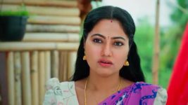 Maamagaru (Star Maa) S01 E276 Pushpa Confronts Srikanth