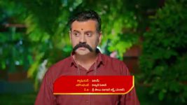 Maguva O Maguva S01 E116 A Major Concern for Chenchalamma