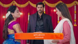 Ninaithen Vandhai (Zee Tamil) S01 E136 29th July 2024