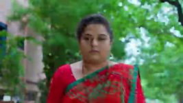 Nuvvu Nenu Prema S01 E684 A Shocker for Padmavathi