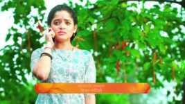 Paaru (Zee Marathi) S01 E161 29th July 2024