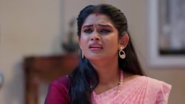 Padamati Sandhyaragam S01 E567 10th July 2024