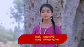 Renuka Yellamma (Star Maa) S01 E401 Manjamma Reassures Mangaladevi