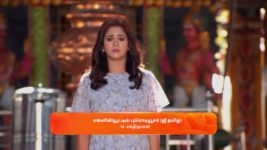 Sandhya Raagam (Tamil) S01 E239 4th July 2024