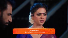 Sandhya Raagam (Tamil) S01 E240 5th July 2024