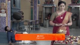 Sandhya Raagam (Tamil) S01 E250 15th July 2024