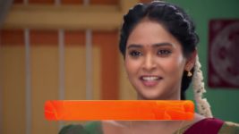 Sandhya Raagam (Tamil) S01 E254 19th July 2024