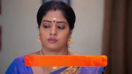 Sandhya Raagam (Tamil) S01 E255 20th July 2024