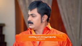 Sandhya Raagam (Tamil) S01 E264 29th July 2024