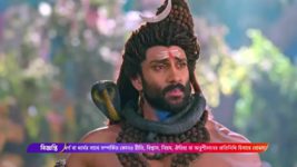 Shiv Shakti (Colors Bangla) S01 E221 Tulsi curses Narayan