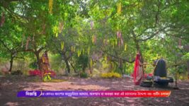 Shiv Shakti (Colors Bangla) S01 E227 Shyamla transforms into a buffalo