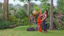 Shrimad Ramayan S01 E151 Vriksh Ki Chaaya