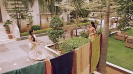 Trinayani (Telugu) S01 E1291 15th July 2024