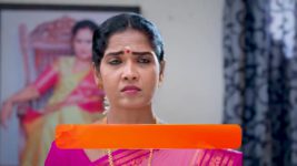 Veera (Zee Tamil) S01 E107 23rd July 2024