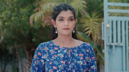 Ninnu Kori (Star Maa) S01 E15 Sanjana Seeks Virat's Assistance