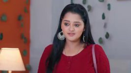 Ninnu Kori (Star Maa) S01 E26 Virat, Chandrakala's Dispute