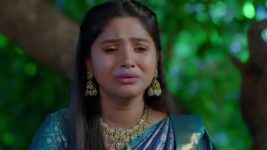 Nuvvu Nenu Prema S01 E671 Padmavathi's Emotional Breakdown