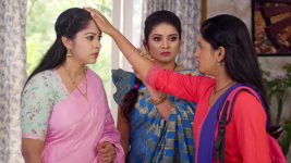 Paape Maa Jeevana Jyothi S01 E991 Will Kutti Reveal her Identity?