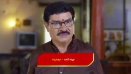 Paluke Bangaramayana S01 E274 Swaragini's Advice for Seenu