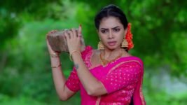 Ammayi Garu S01 E558 10th August 2024