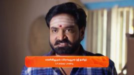 Anna (Tamil) S01 E448 28th August 2024