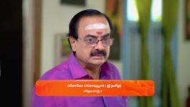 Anna (Tamil) S01 E449 29th August 2024