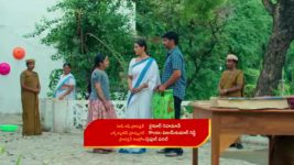 Chinni (Star Maa) S01 E47 Harishchandra Assures Chinni