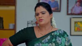 Janaki Ramayya Gari Manavaralu S01 E81 7th August 2024