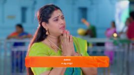 Karthigai Deepam S01 E557 2nd August 2024